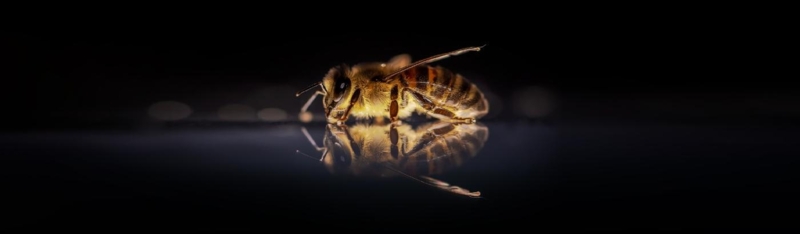 Kruisbestuiving: belastingrechter past witwasregels toe voor bewijs verzwegen inkomen 